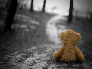 Loneliness teddy